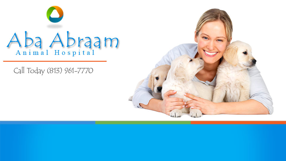 Abraam Animal Hospital Logo